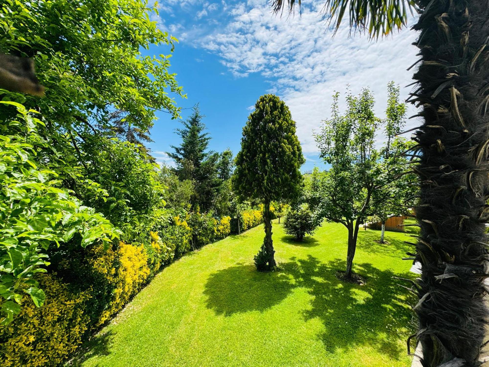 Treekos Suite Hotel Arnavutkoy Eksteriør bilde